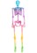 5FT Poseable Crazy Bones Skeleton in Rainbow Decoration
